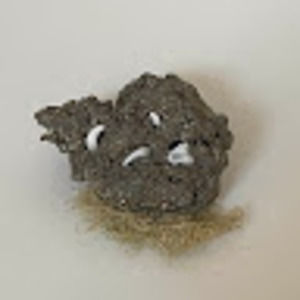 Meet your Posher, Alaina